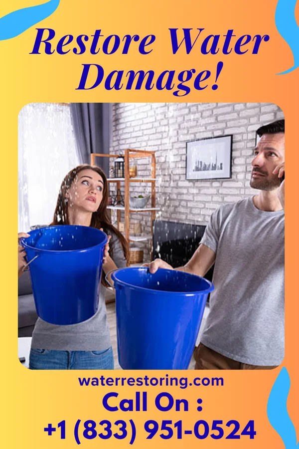water restoration Global Damage Recovery Force Dana