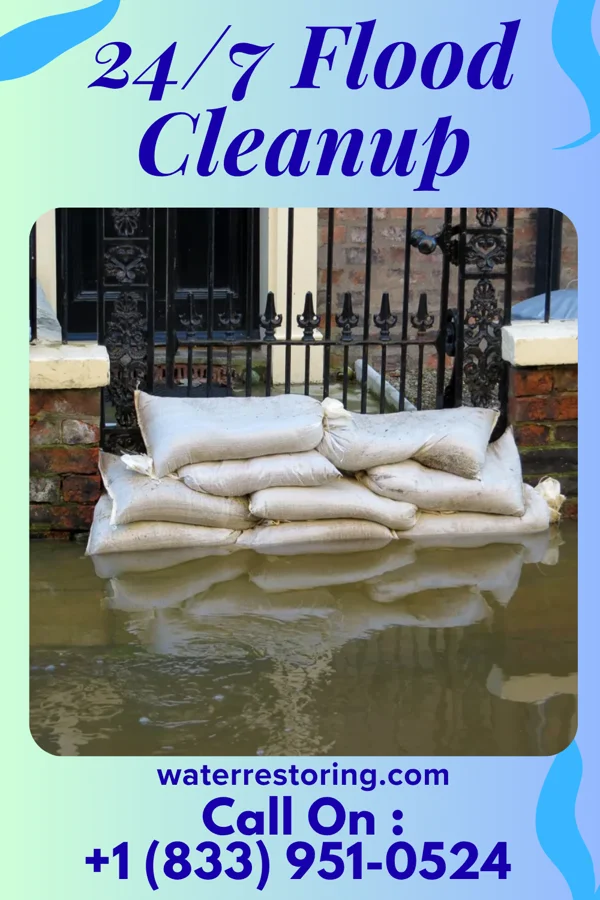 24/7 Flood Cleanup in Dana, IL