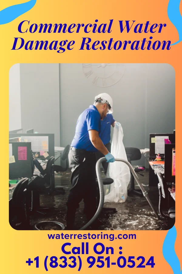Commercial Water Damage Restoration in Dana, IL