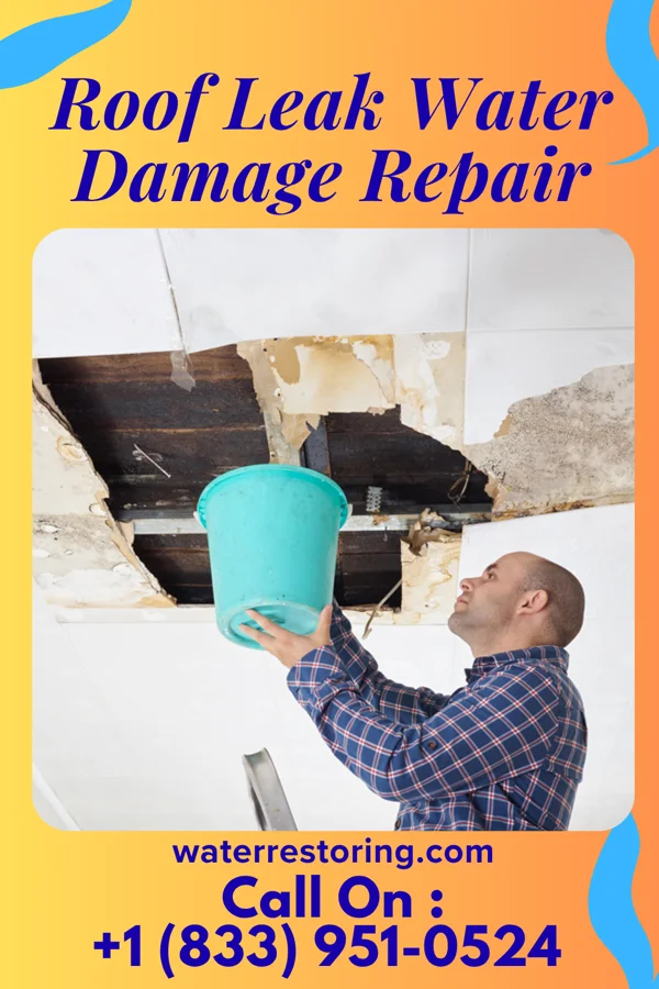 Roof Leak Water Damage Repair in Dana, IL