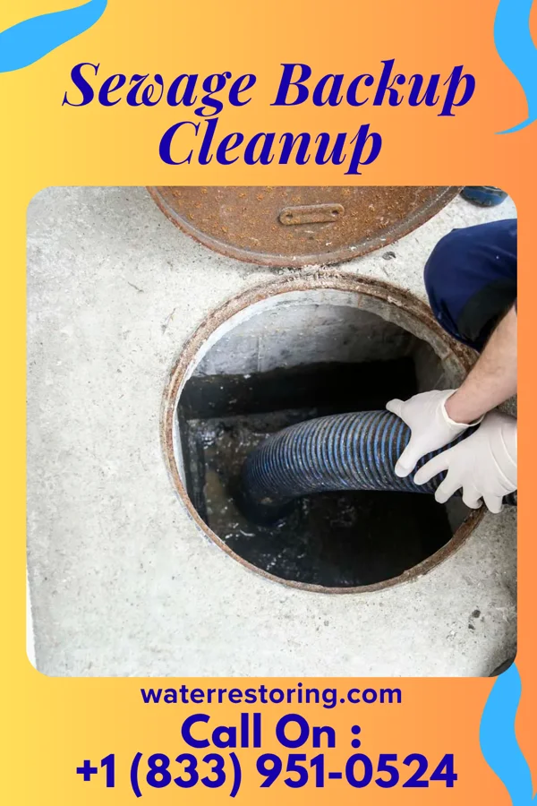 Sewage Backup Cleanup in Dana, IL